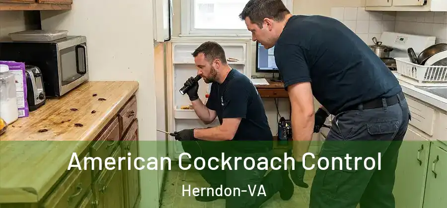 American Cockroach Control Herndon-VA