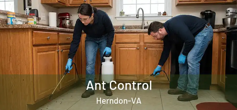 Ant Control Herndon-VA