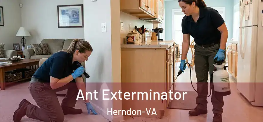  Ant Exterminator Herndon-VA