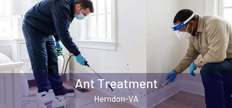  Ant Treatment Herndon-VA