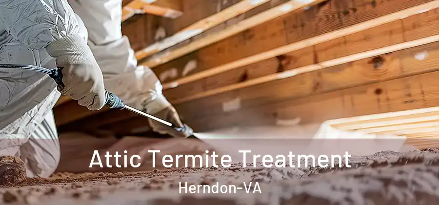 Attic Termite Treatment Herndon-VA