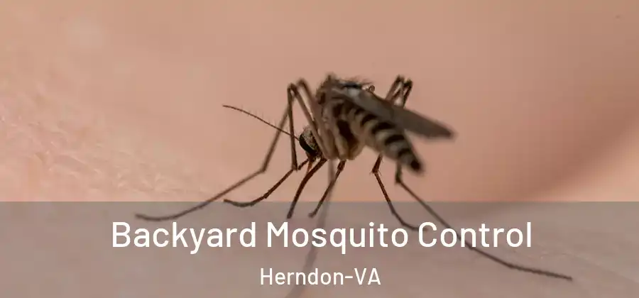  Backyard Mosquito Control Herndon-VA