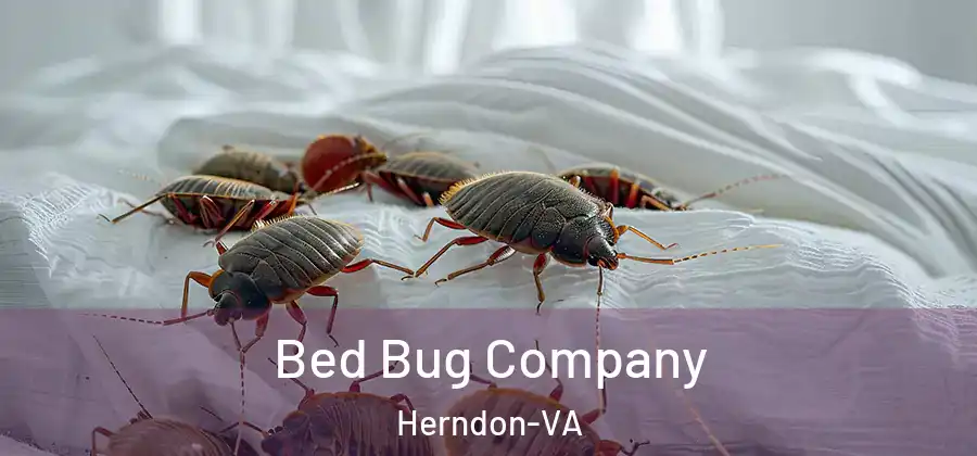 Bed Bug Company Herndon-VA