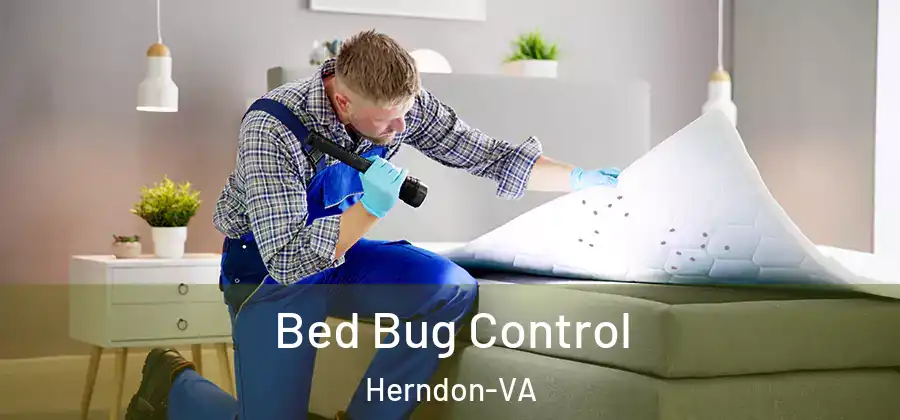 Bed Bug Control Herndon-VA