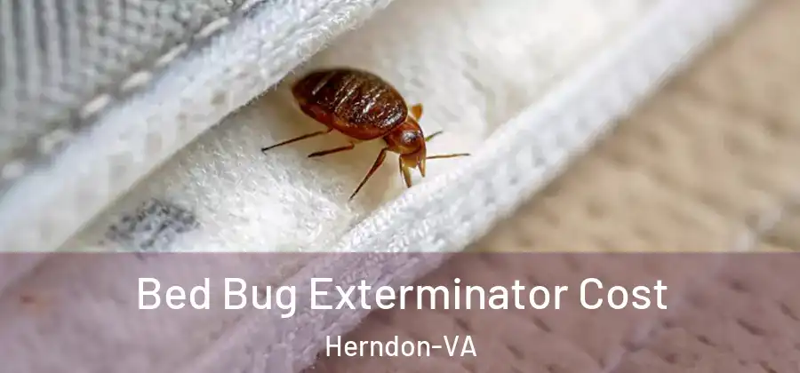  Bed Bug Exterminator Cost Herndon-VA