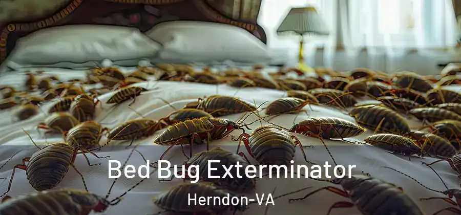 Bed Bug Exterminator Herndon-VA