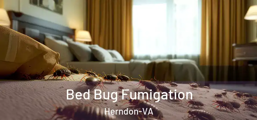 Bed Bug Fumigation Herndon-VA