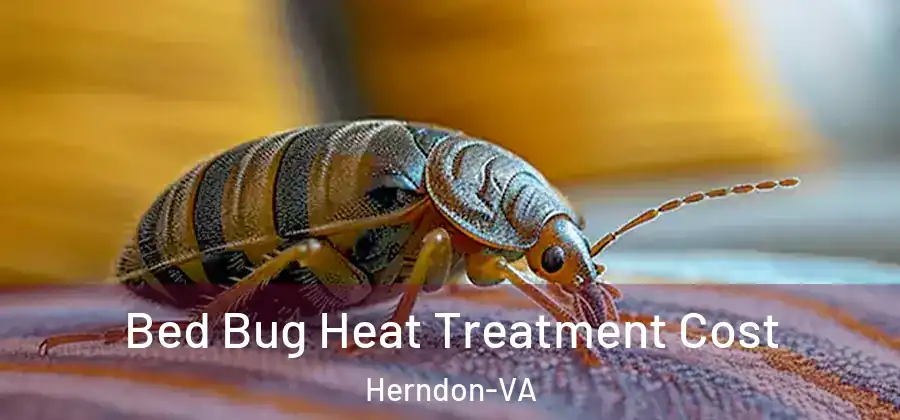  Bed Bug Heat Treatment Cost Herndon-VA