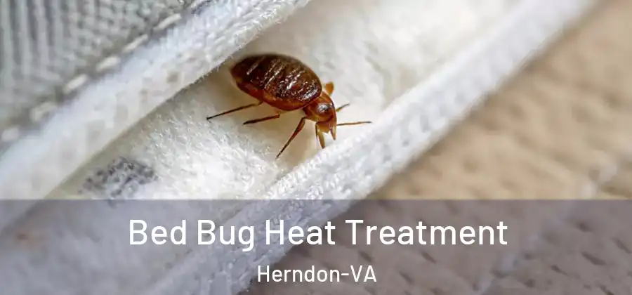 Bed Bug Heat Treatment Herndon-VA
