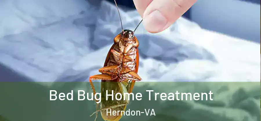 Bed Bug Home Treatment Herndon-VA
