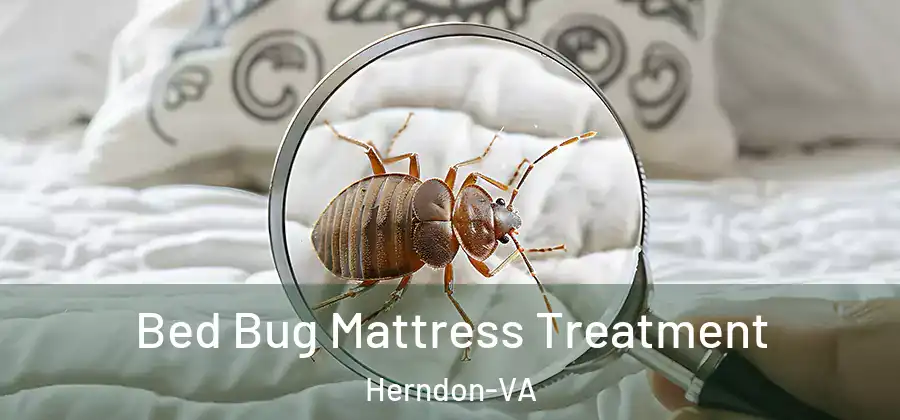  Bed Bug Mattress Treatment Herndon-VA