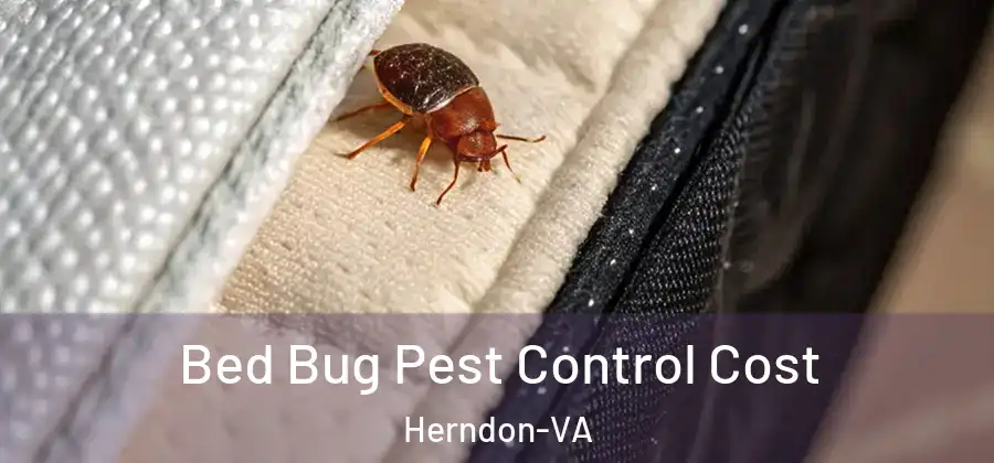  Bed Bug Pest Control Cost Herndon-VA