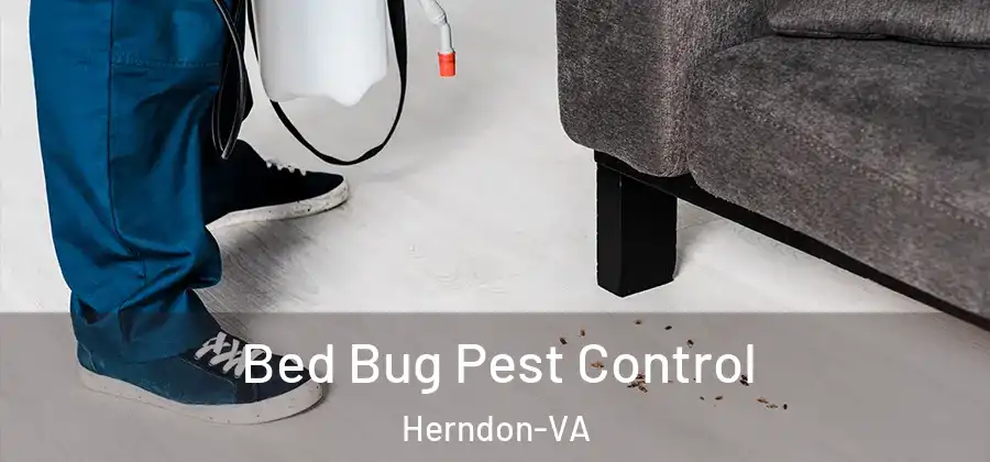  Bed Bug Pest Control Herndon-VA