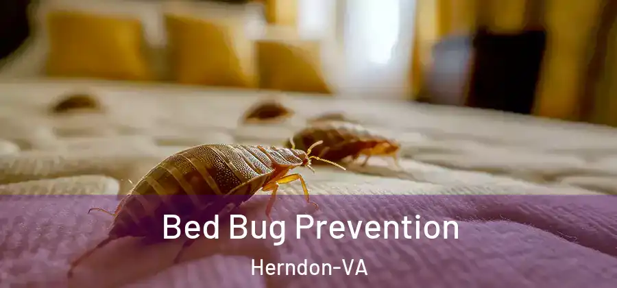 Bed Bug Prevention Herndon-VA