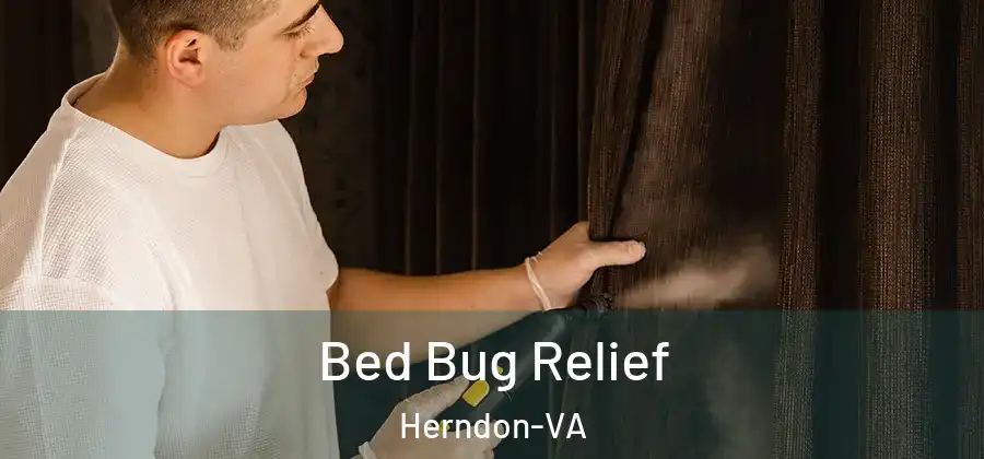 Bed Bug Relief Herndon-VA