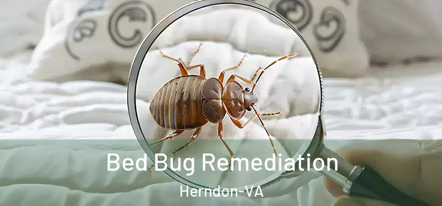 Bed Bug Remediation Herndon-VA