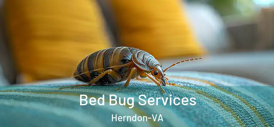 Bed Bug Services Herndon-VA