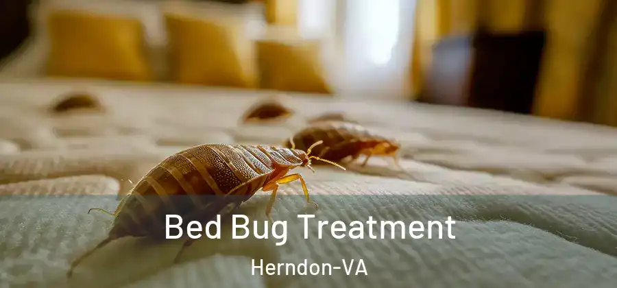 Bed Bug Treatment Herndon-VA