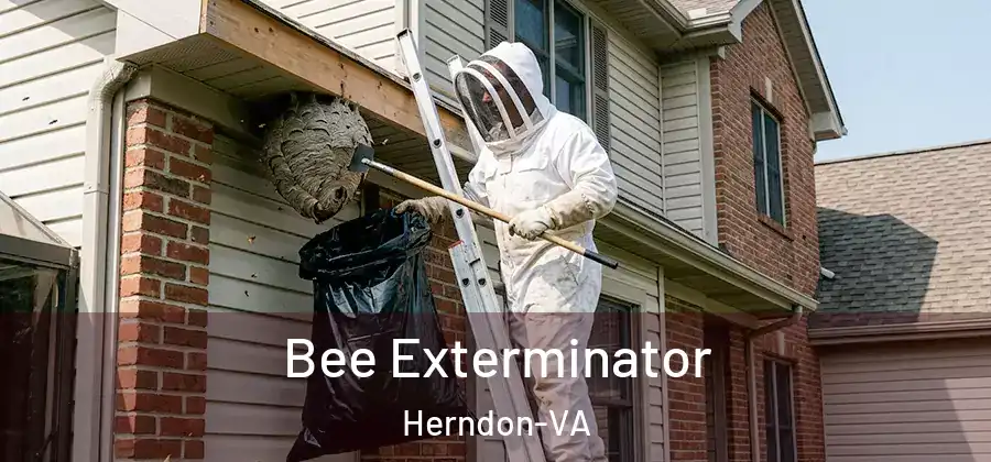 Bee Exterminator Herndon-VA