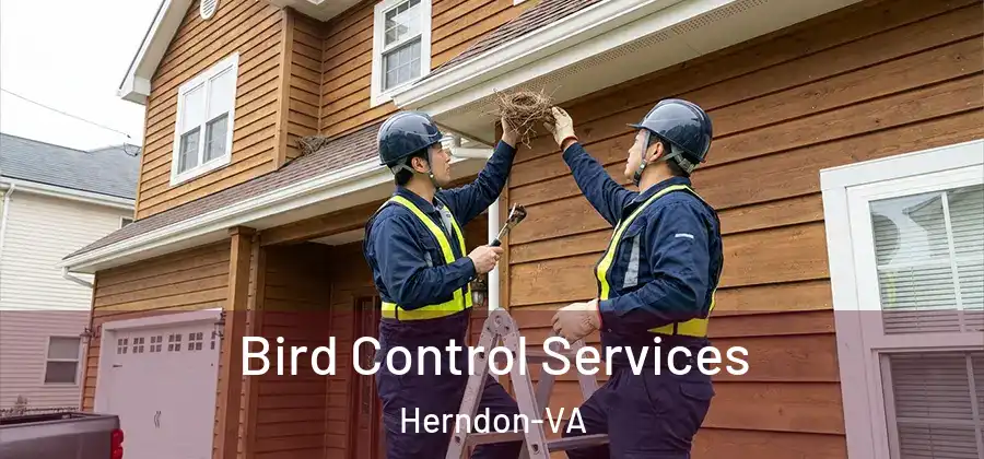 Bird Control Services Herndon-VA