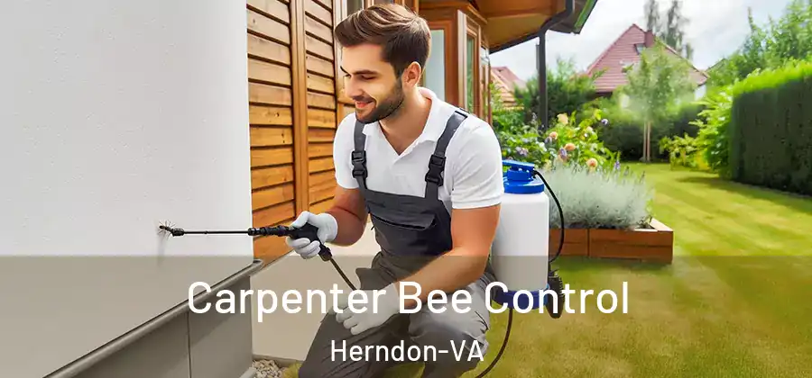 Carpenter Bee Control Herndon-VA