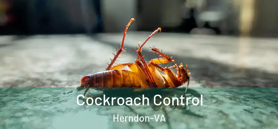Cockroach Control Herndon-VA
