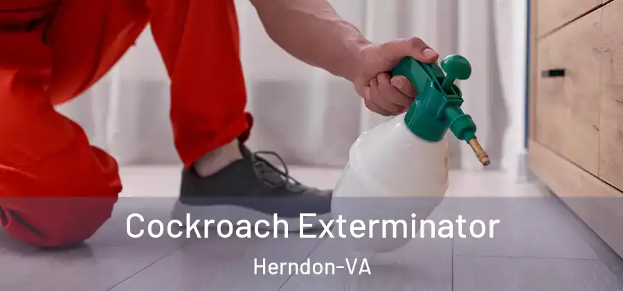  Cockroach Exterminator Herndon-VA