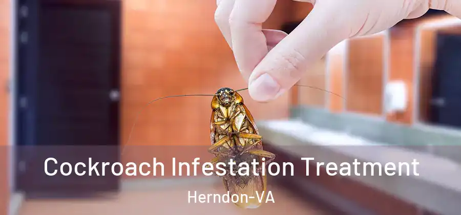 Cockroach Infestation Treatment Herndon-VA