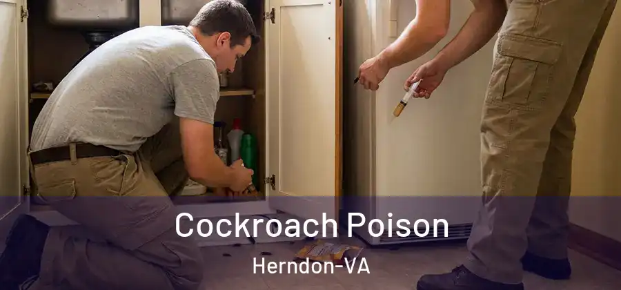  Cockroach Poison Herndon-VA