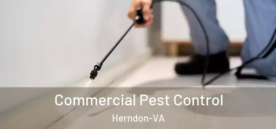  Commercial Pest Control Herndon-VA