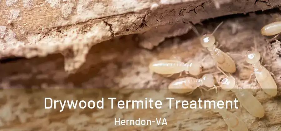 Drywood Termite Treatment Herndon-VA