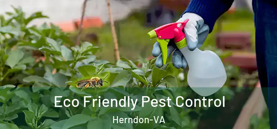 Eco Friendly Pest Control Herndon-VA