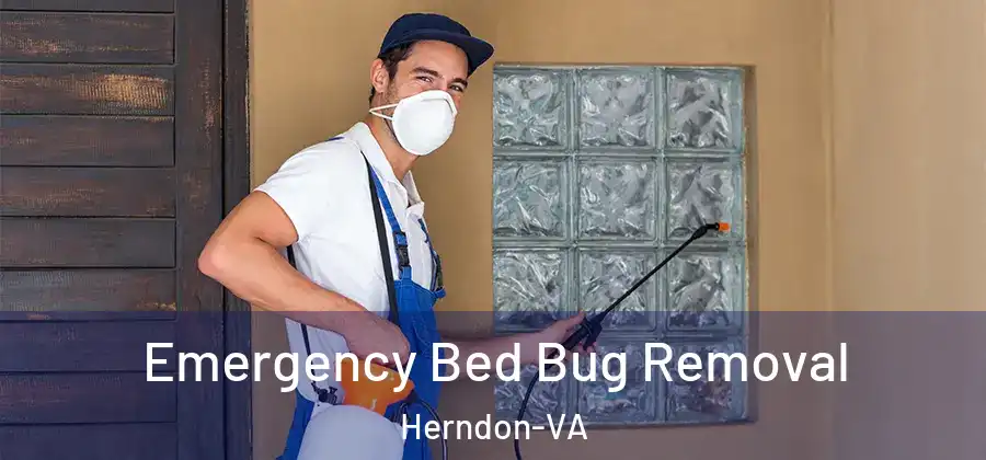 Emergency Bed Bug Removal Herndon-VA