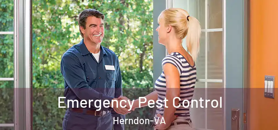  Emergency Pest Control Herndon-VA