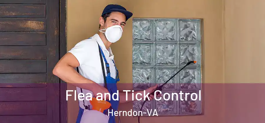  Flea and Tick Control Herndon-VA