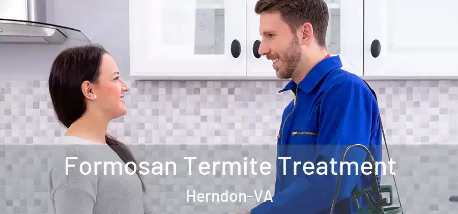 Formosan Termite Treatment Herndon-VA