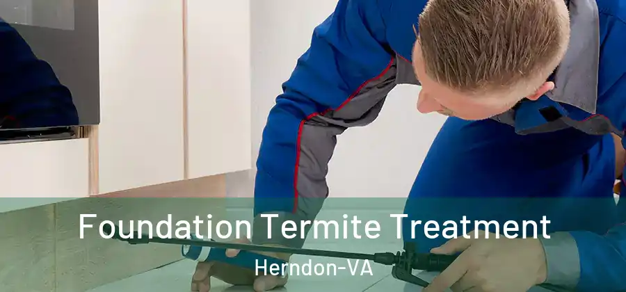  Foundation Termite Treatment Herndon-VA
