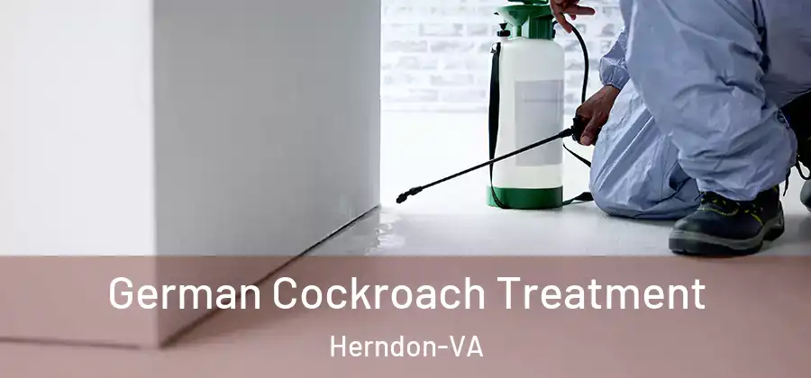  German Cockroach Treatment Herndon-VA