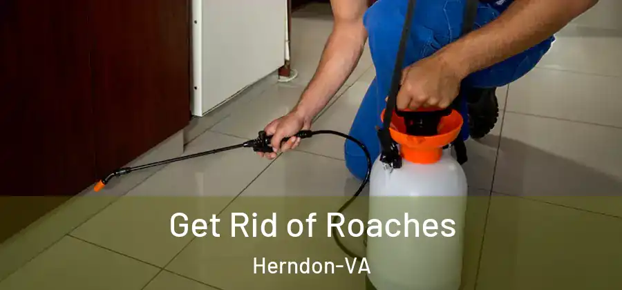  Get Rid of Roaches Herndon-VA