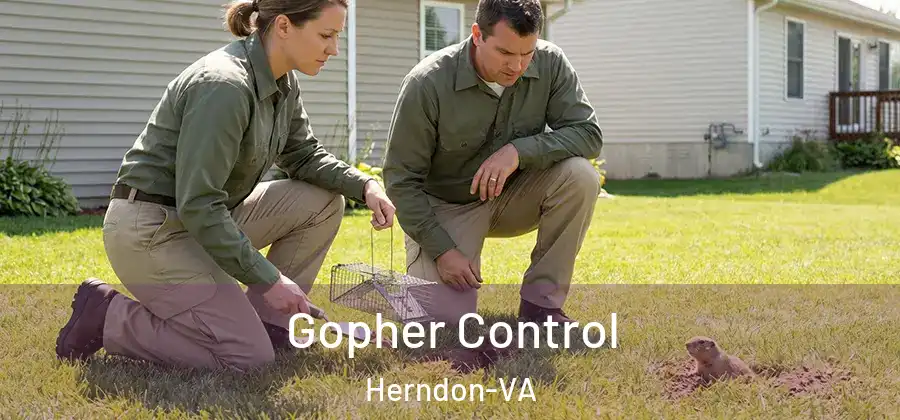 Gopher Control Herndon-VA