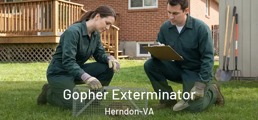 Gopher Exterminator Herndon-VA