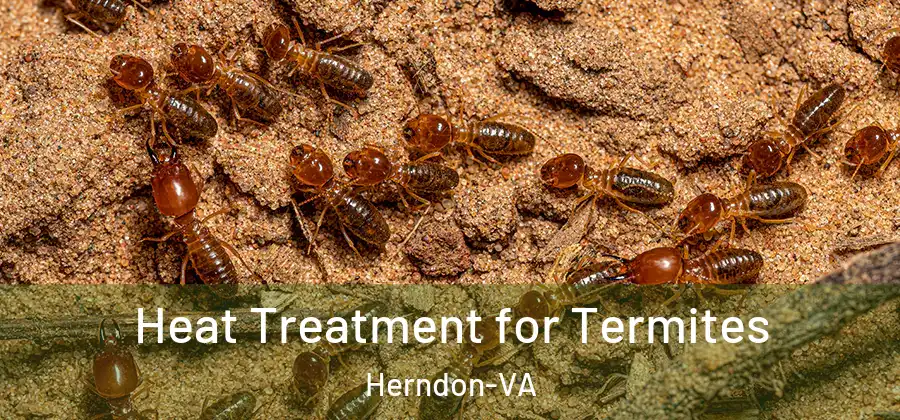 Heat Treatment for Termites Herndon-VA