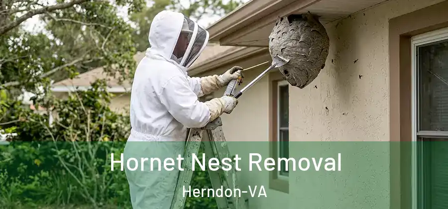  Hornet Nest Removal Herndon-VA