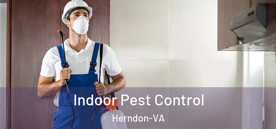 Indoor Pest Control Herndon-VA