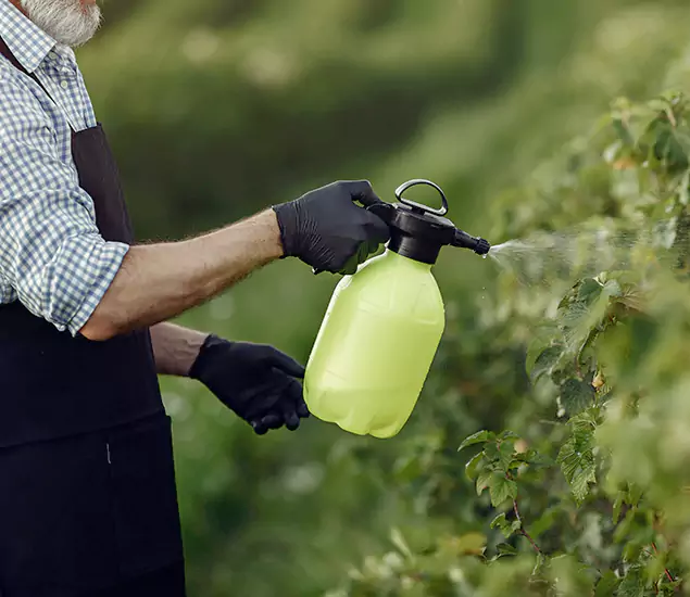 Your Proven Mosquito Treatment Company in Herndon, VA