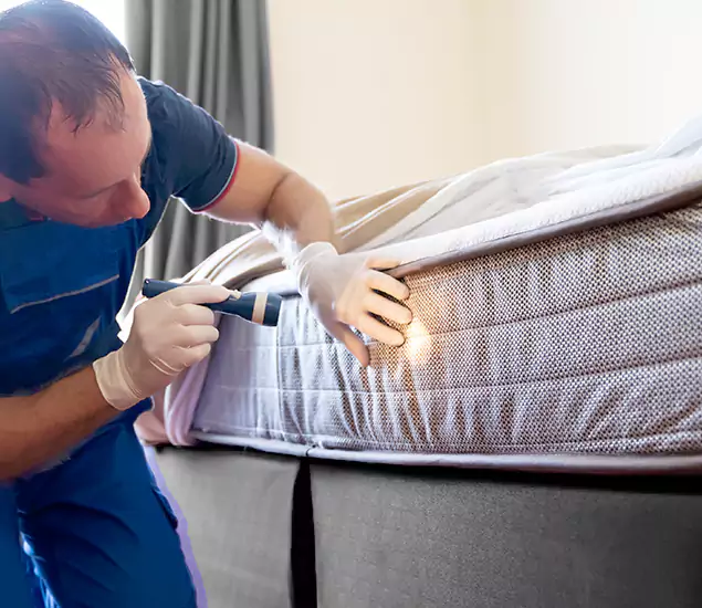 Trusted Bed Bug Cost Experts in Herndon, VA