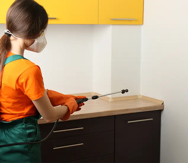 Trusted Bed Bug Pest Control Specialist in Herndon, VA