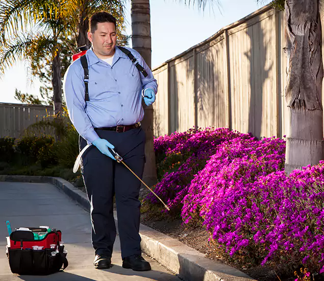 About Our Eco Safe Pest Control Experts in Herndon, VA