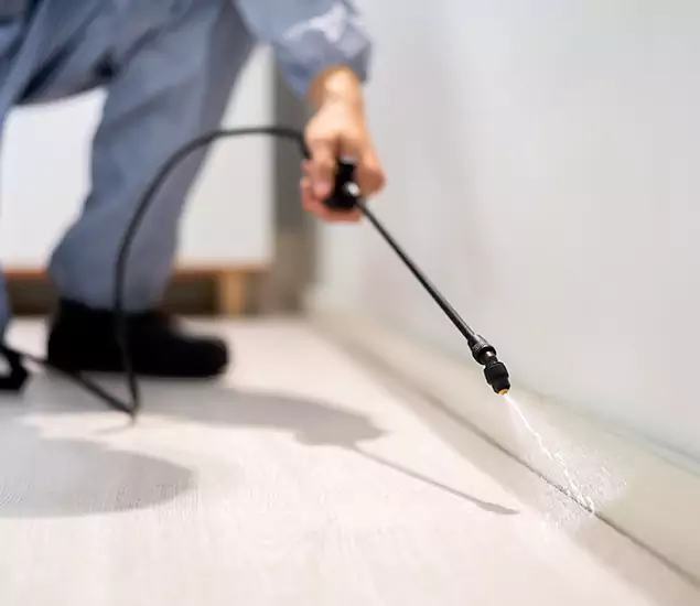 About Our Liquid Termite Treatment Experts in Herndon, VA