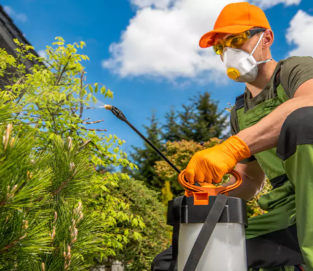 Your Mosquito Repellent Barrier Service in Herndon, VA